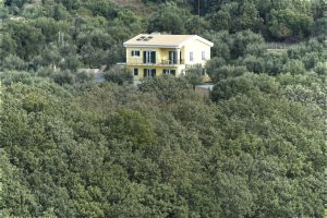 Villa Elia ( οίκος της ελιάς) inmitten der Olivenbäume